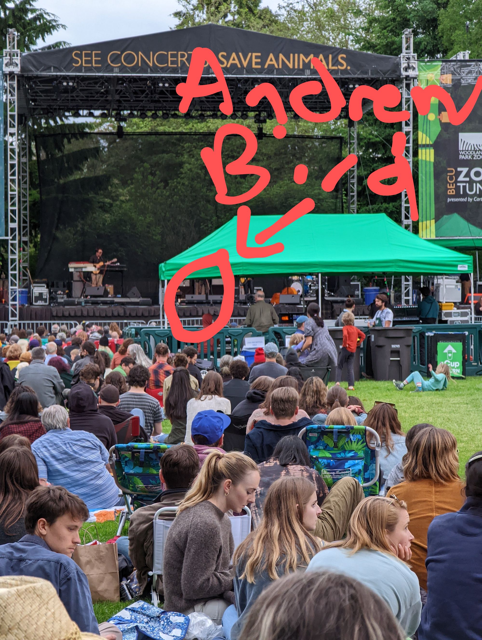 Andrew Bird's legs, but not any other part of him.